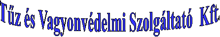 Tűz és Vagyonvédelmi Szolgáltató Kft.